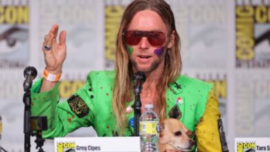 greg cipes net worth